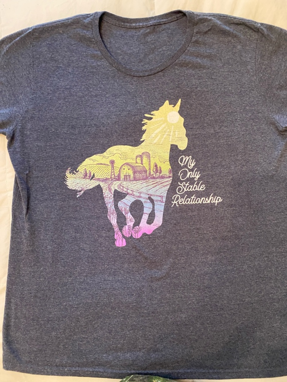 Women’s Heather Blue Horse T-Shirt XL